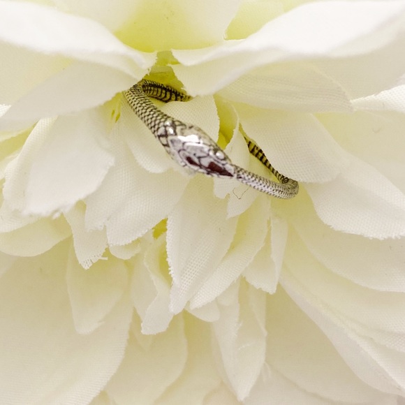 Oxidized Sterling Silver Ouroboros Snake Ring - Picture 3 of 6